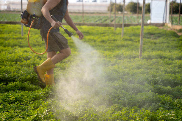 Best Local Pest Control Services  in Pawnee, IL