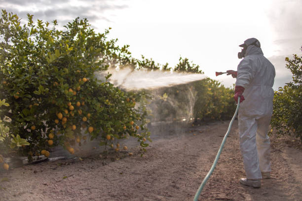 Insect Control in Pawnee, IL