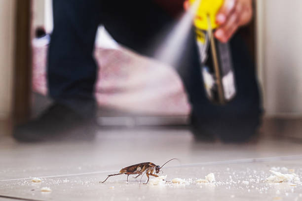 Best Commercial Pest Control Services  in Pawnee, IL