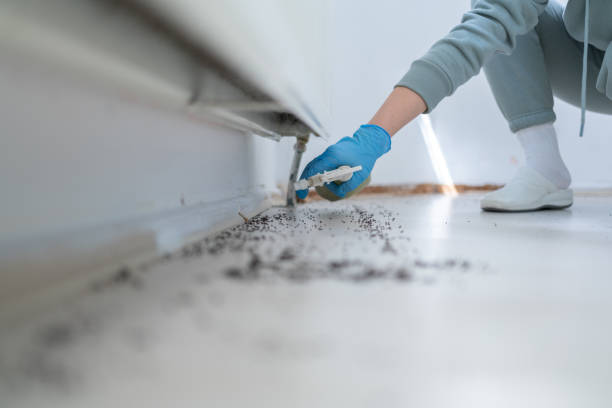 Best Best Pest Control Companies  in Pawnee, IL